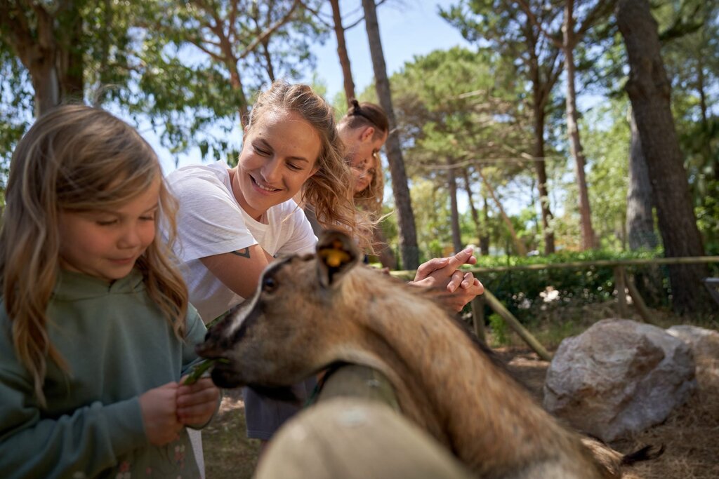 Campo dei Fiori, Camping Toscane - 20