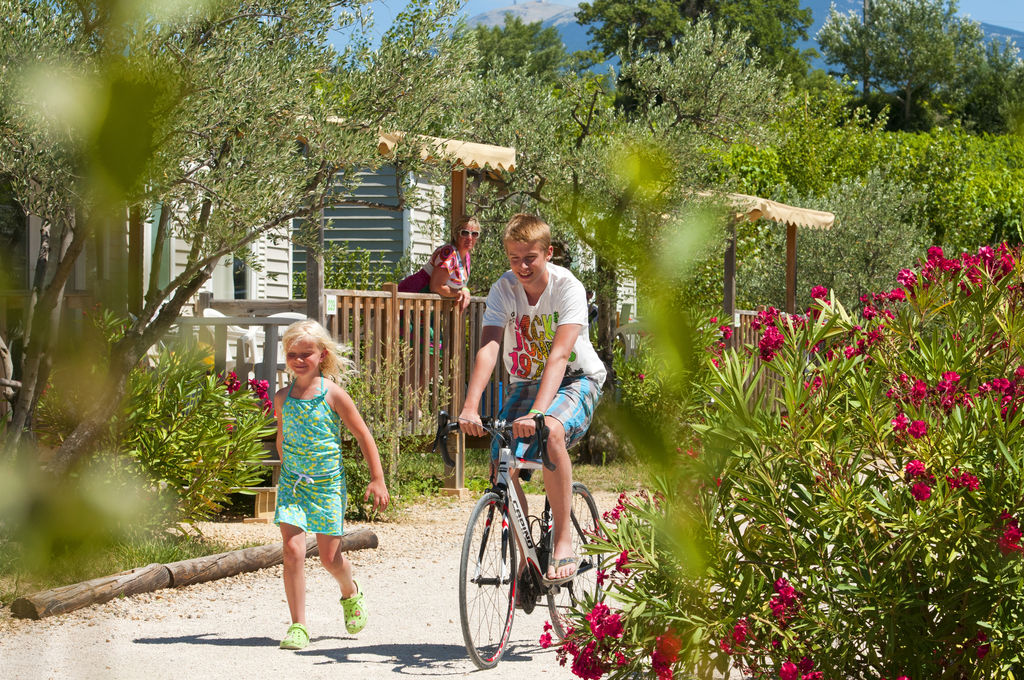 Carpe Diem : Maison insolite, Camping Provence-Alpes-Cte d'Azur - 21