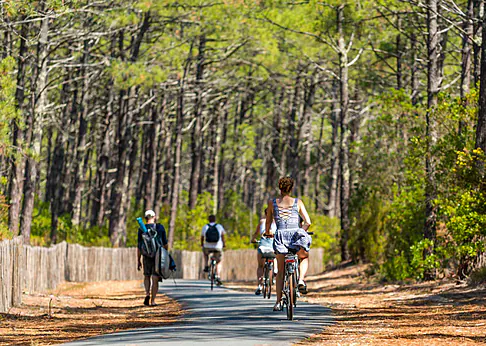 Carril bici en bosque de pinos en el camping VAGUES OCEANES Les Cigales. Carril bici en bosque de pinos en el camping VAGUES OCEANES Les Cigales.
