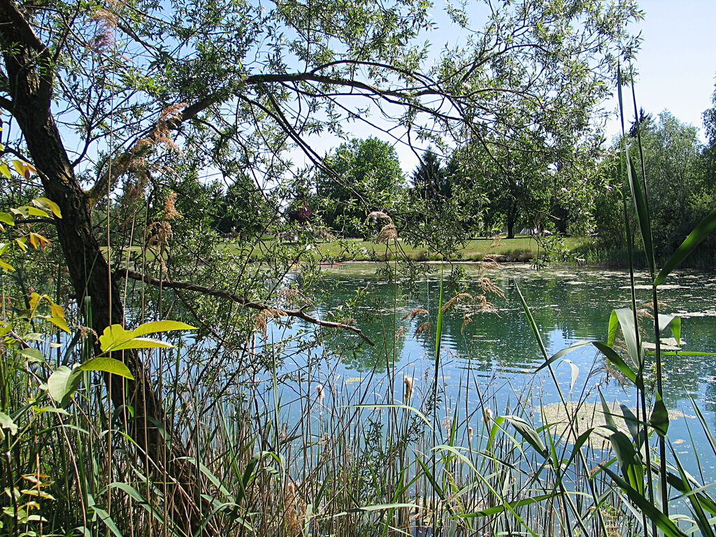 Au Clair Ruisseau, Camping Alsace - 20