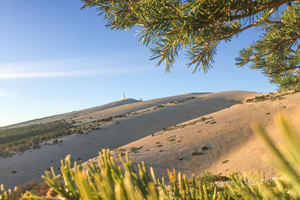 Naturiste Belezy, Camping Provence-Alpes-Cte d'Azur - 8