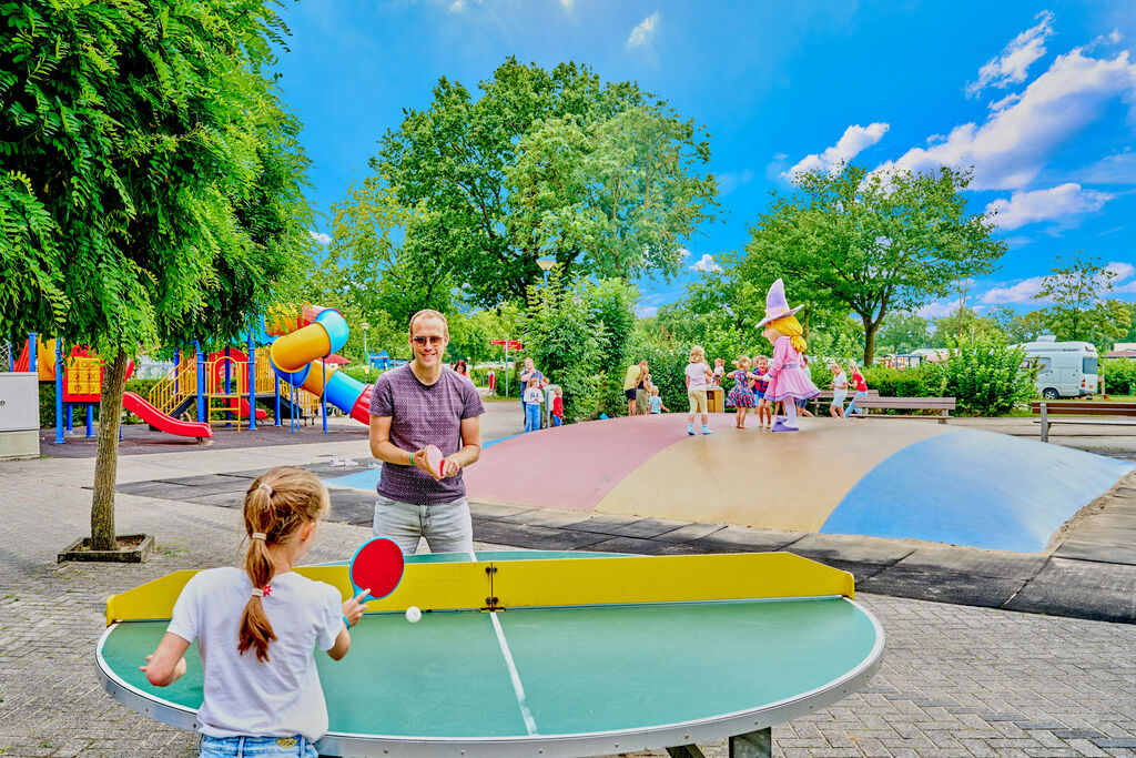 Heino, Camping Overijssel - 25