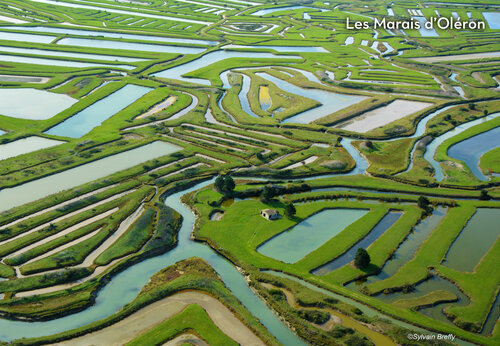 Marismas de Oléron, vista aérea de estanques ostrícolas y canales cerca de Saint-Denis d'Oléron.