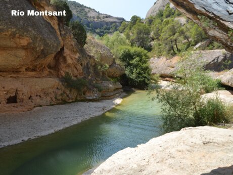 Río Montsant, paisaje natural rocoso con río y árboles cerca de Vilanova de Prades.