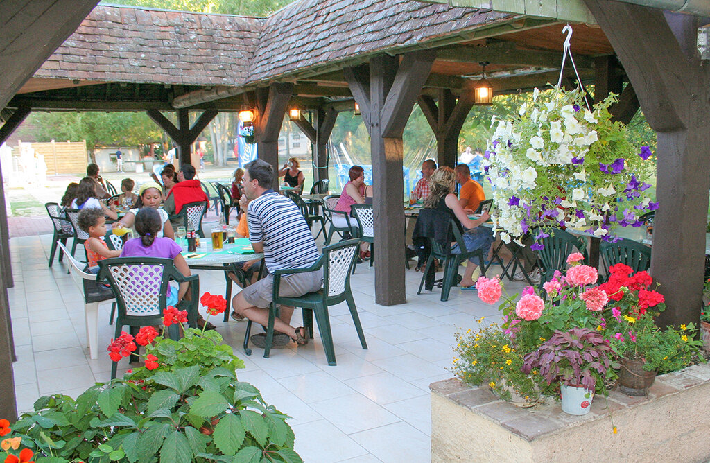 Les Saules de Cheverny, Camping Centre-Val de Loire - 15